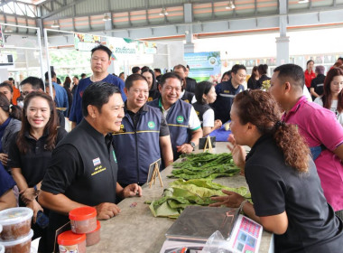 “รมช.เกษตร” ปักหมุดตลาดเกษตรกรเชียงราย หนุนบริโภคผลไม้ไทย ... พารามิเตอร์รูปภาพ 39